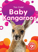 Baby_Kangaroos